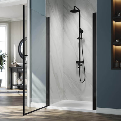 ELEGANT 1/4-inch Black Finish Pivot Shower Door, With Frameless Clear Tempered Glass
